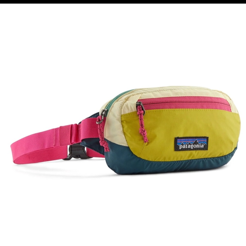 Patagonia mini fanny  pack